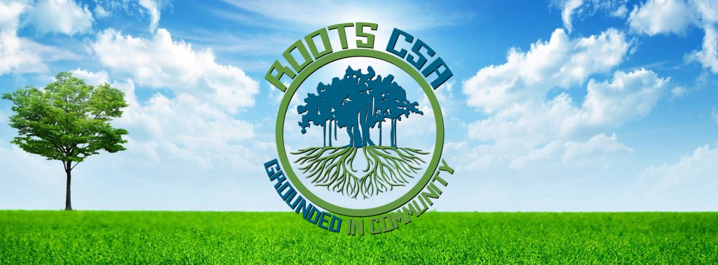 Roots CSA Banner