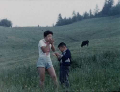 A Japanese American teenage girl stands in tall grass accompanied by a younger boy. She holds a blade of grass and, with hands together at her mouth, blowing into it to produce sound. The younger boy looks down at his own blade of grass curiously. A black cow stands in the distance, grazing the lush rolling hills.